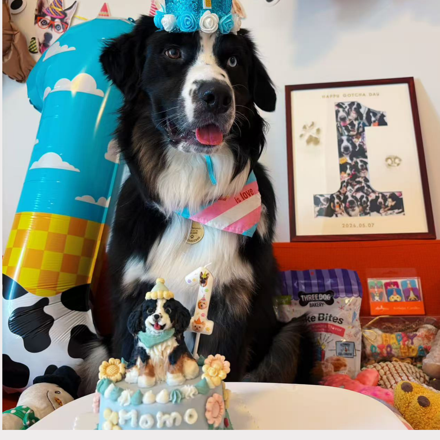 Daisy Pup Cake