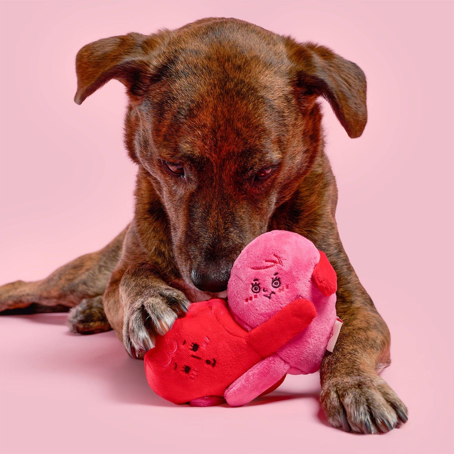 Love Locked Nosework Toy