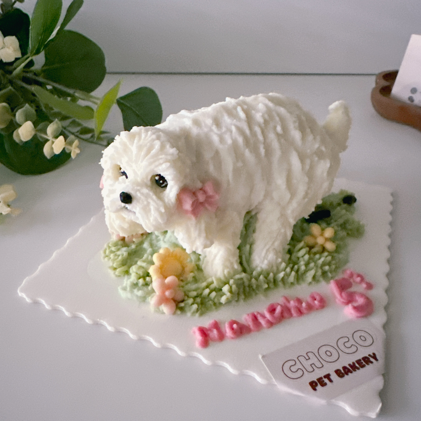 Oopsie Cake