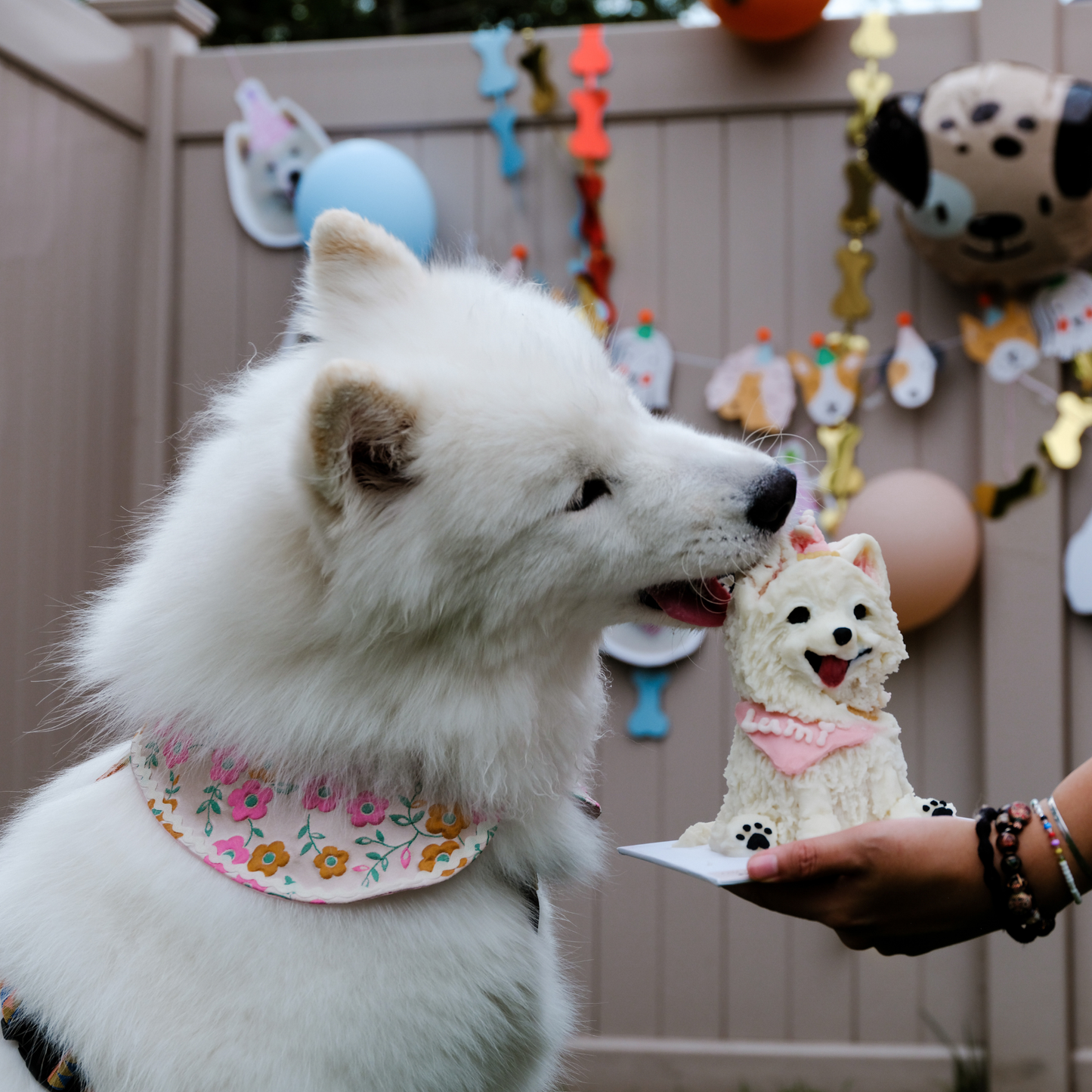 Party Pup Cake