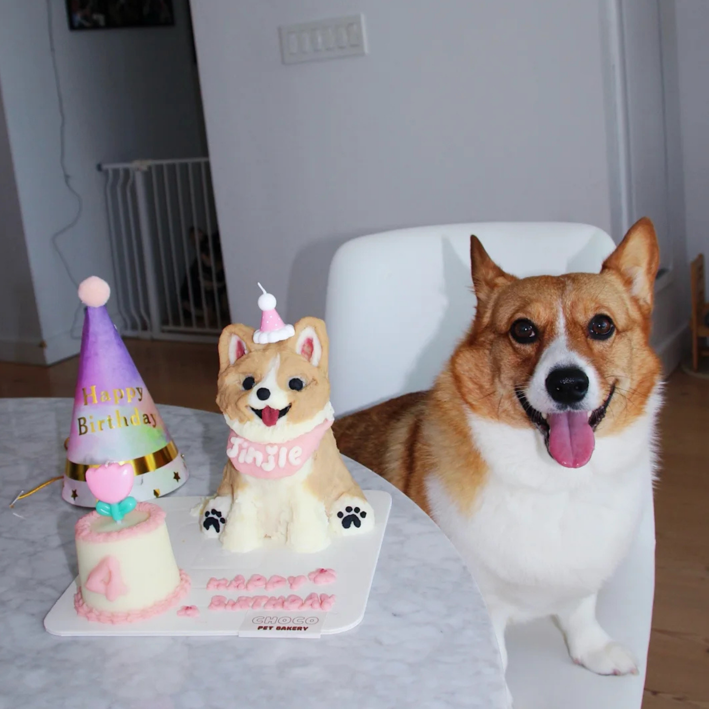 Party Pup Cake