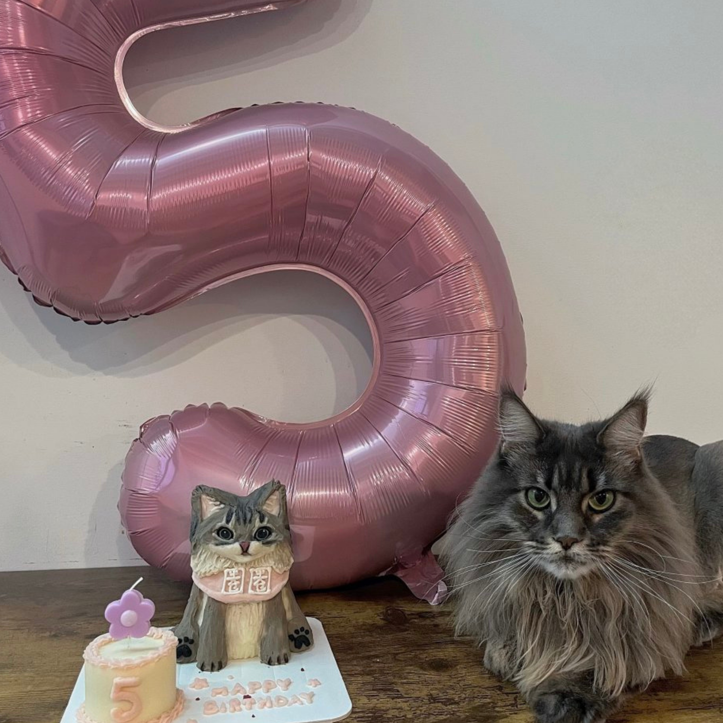 Party Pup Cake