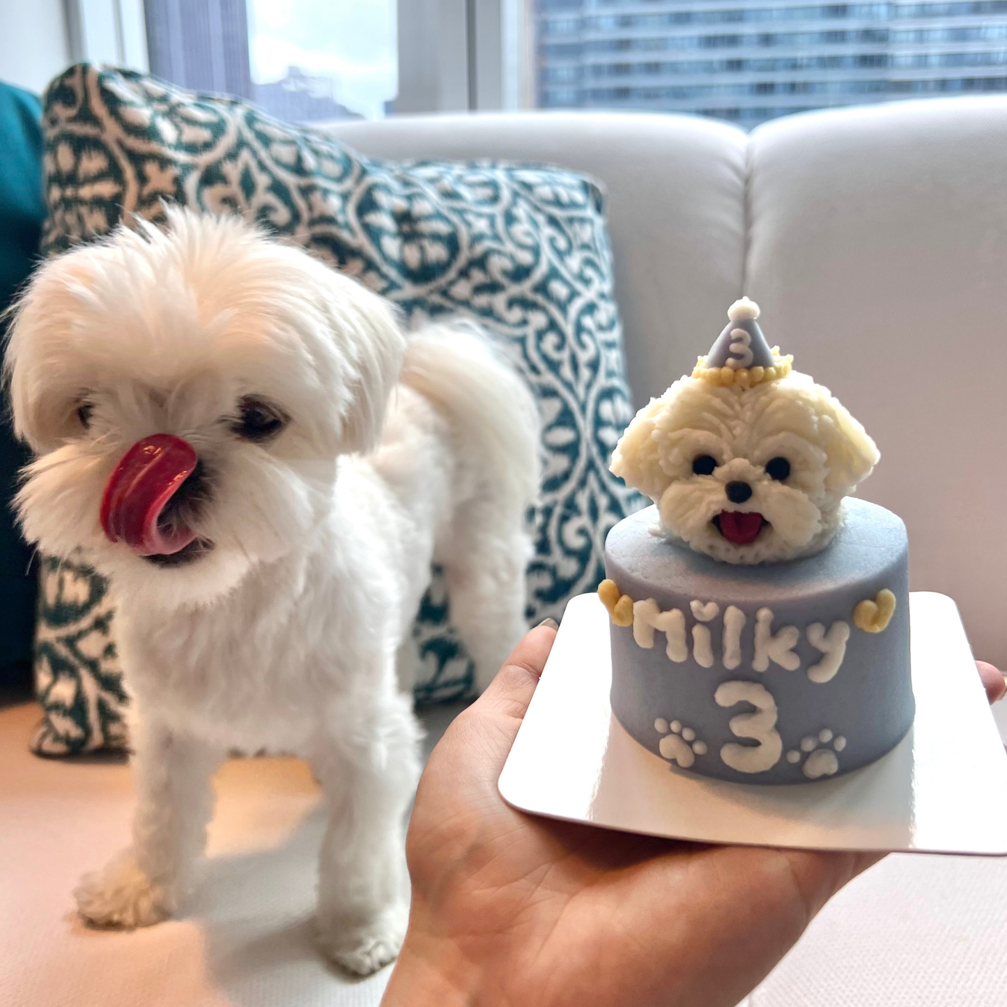 Mini Cake