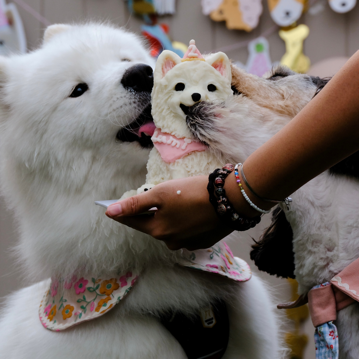 Party Pup Cake