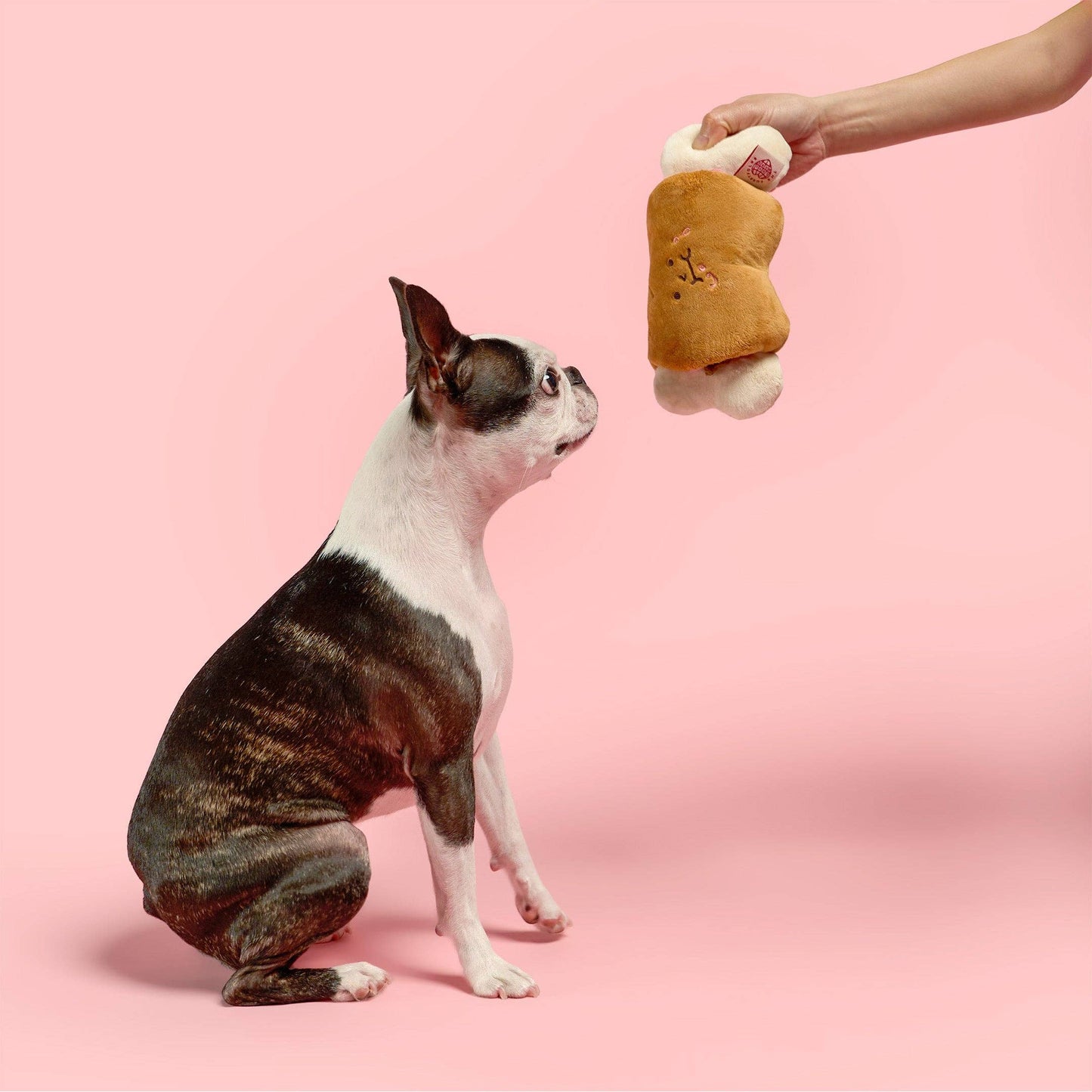 Bone Appétit Nosework Toy