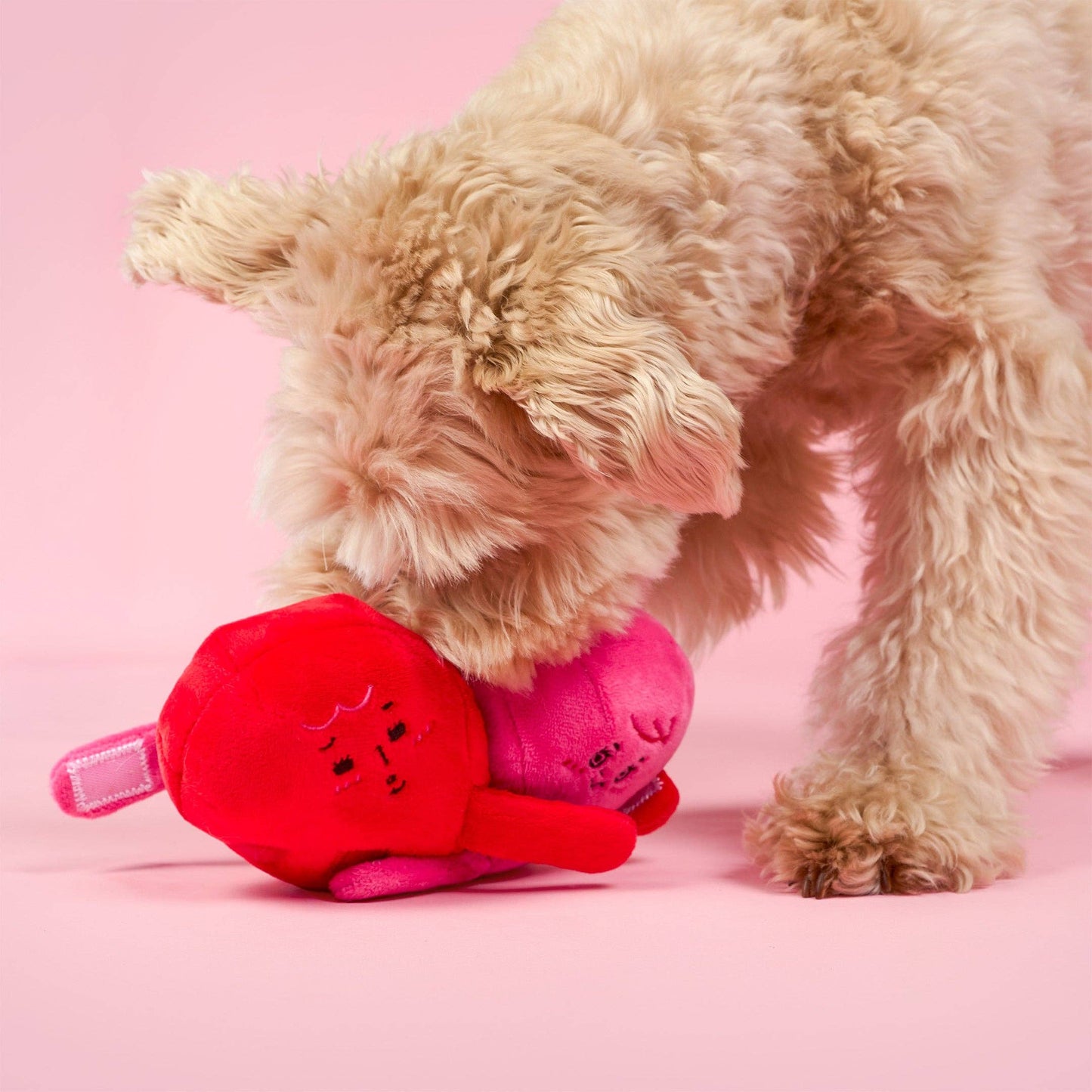 Love Locked Nosework Toy