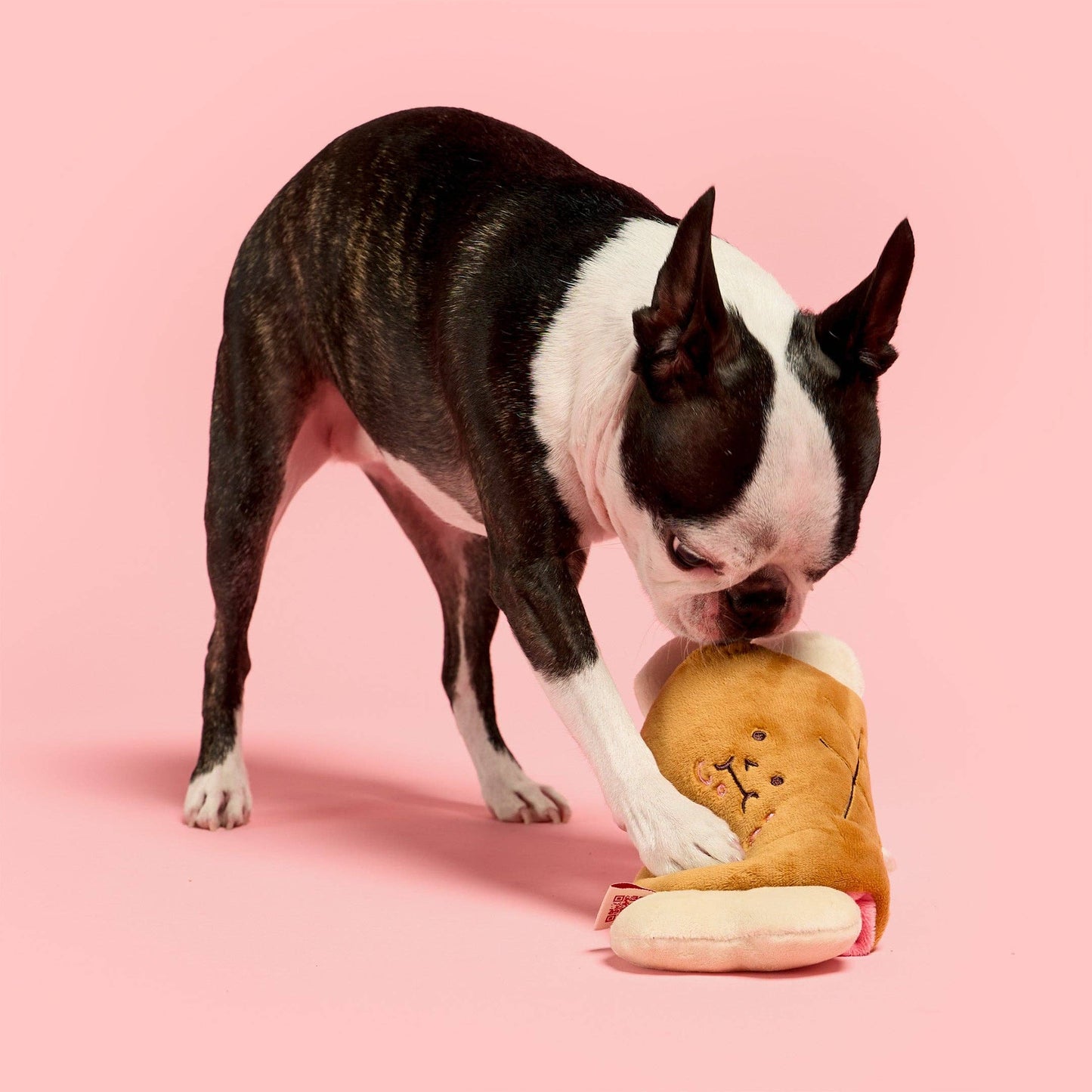 Bone Appétit Nosework Toy
