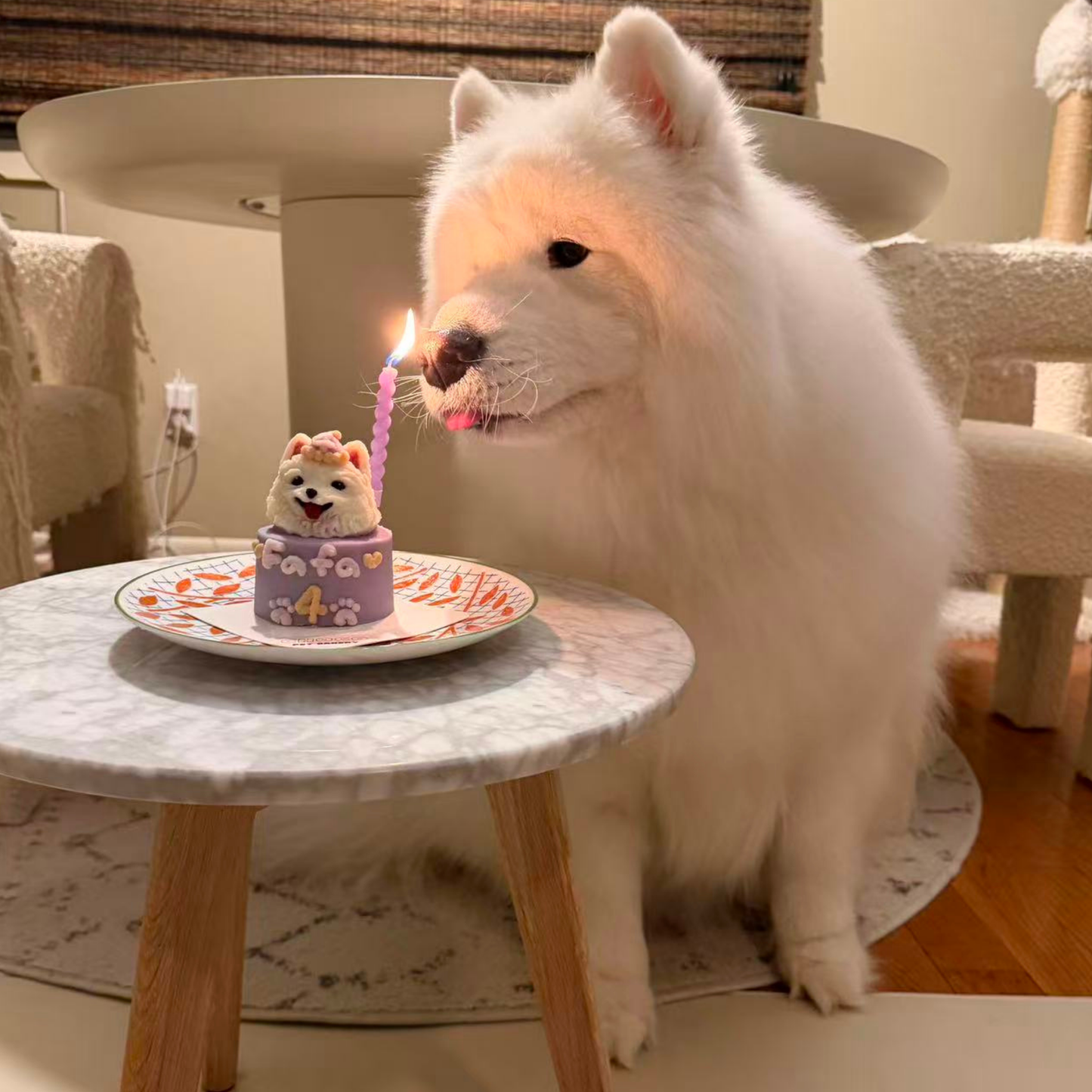 Mini Cake