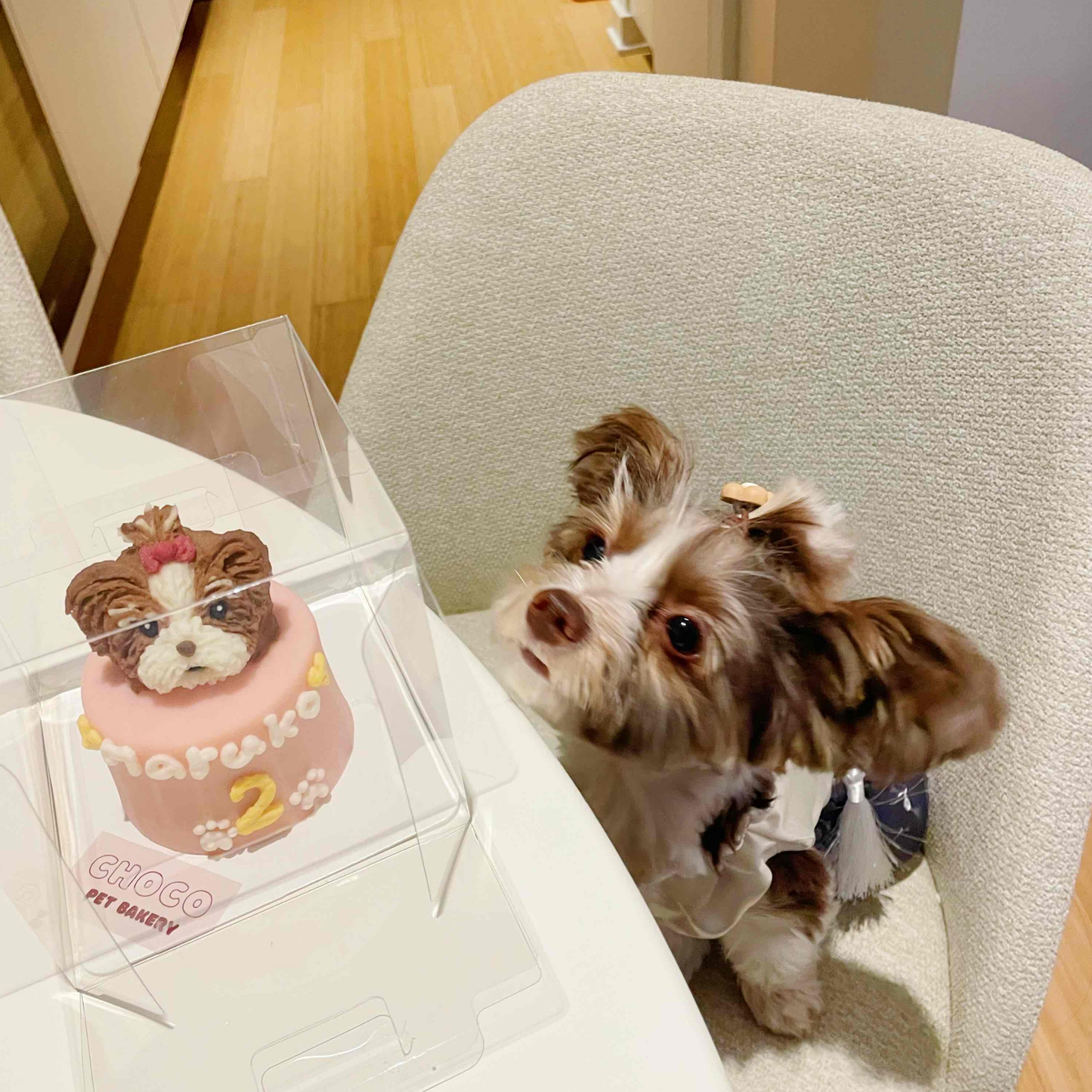 Mini Cake