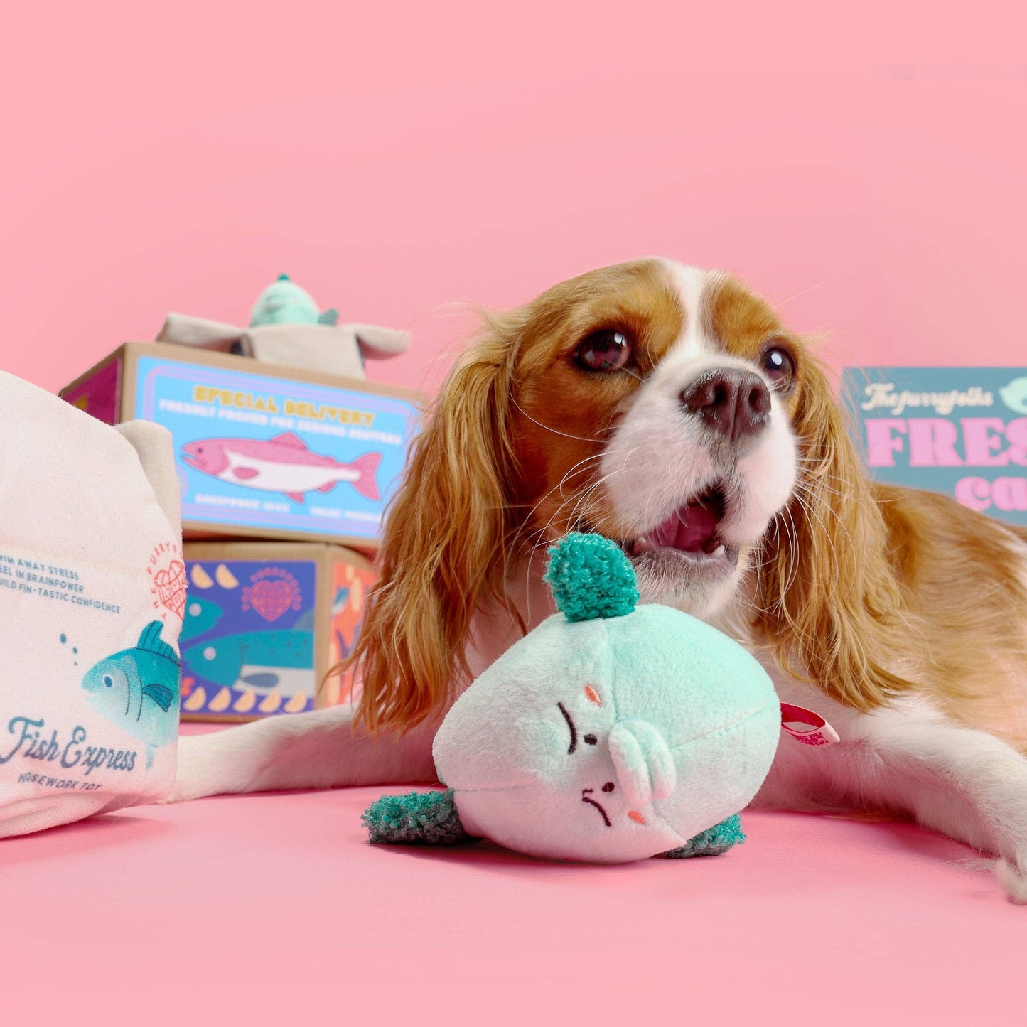 Fish Express Nosework Toy