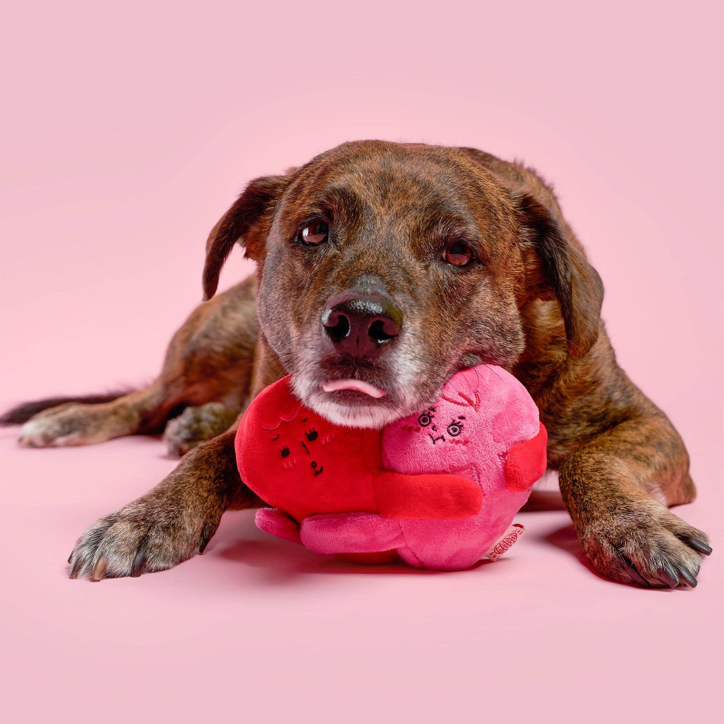 Love Locked Nosework Toy