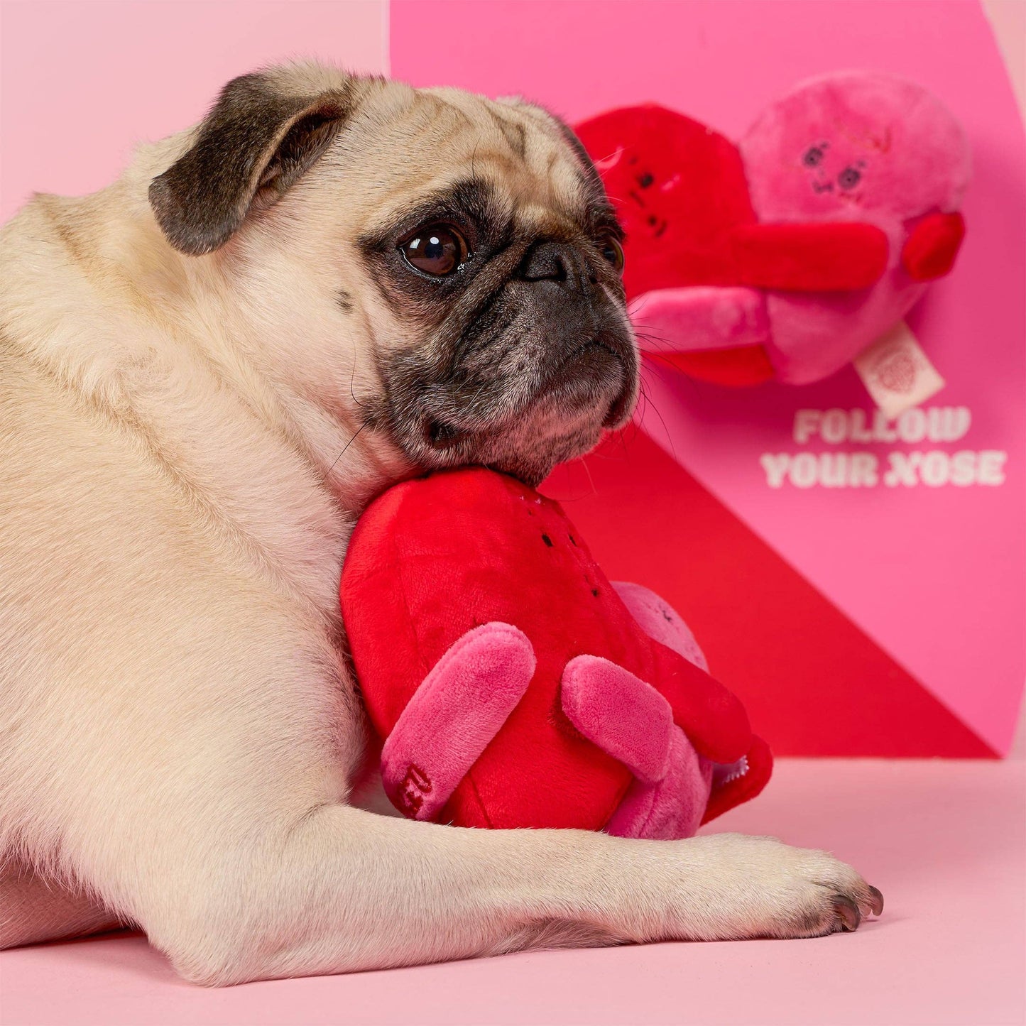 Love Locked Nosework Toy