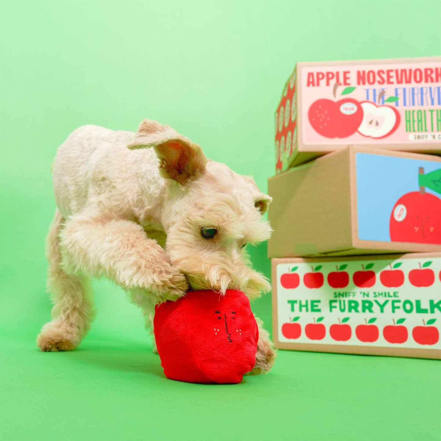 Apple Nosework Toy