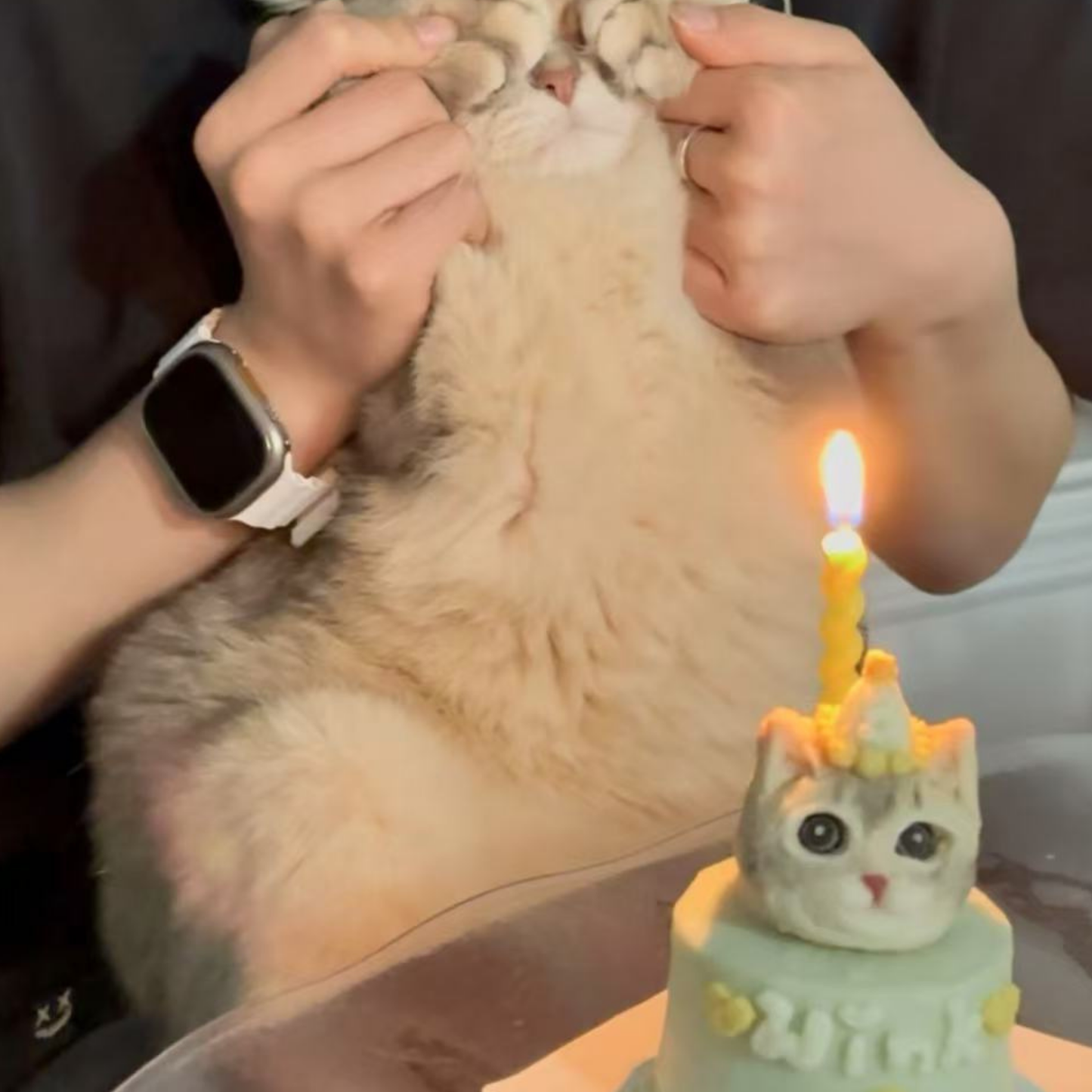 Mini Cake