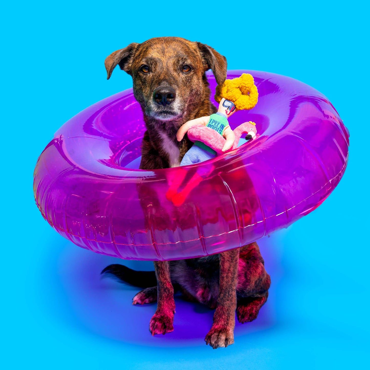 Flamingo Hooman Nosework Toy