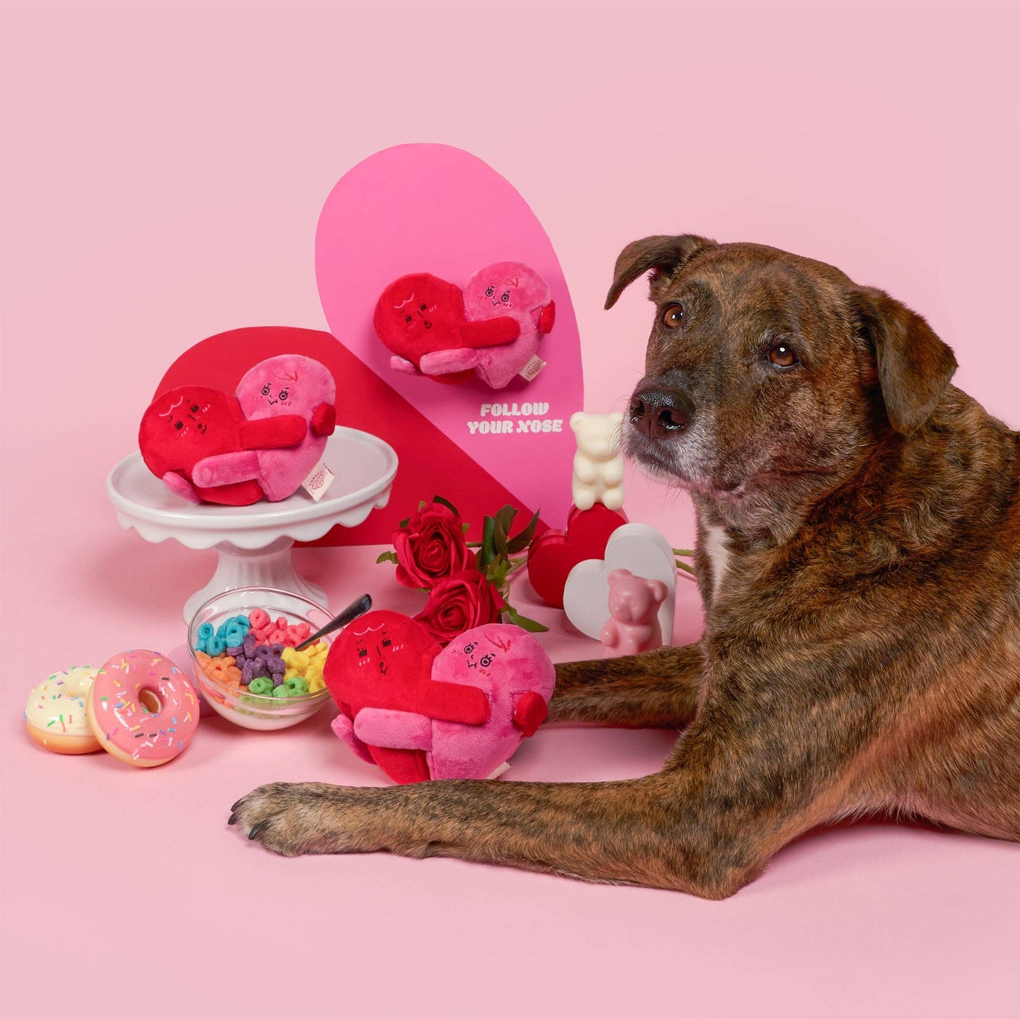 Love Locked Nosework Toy