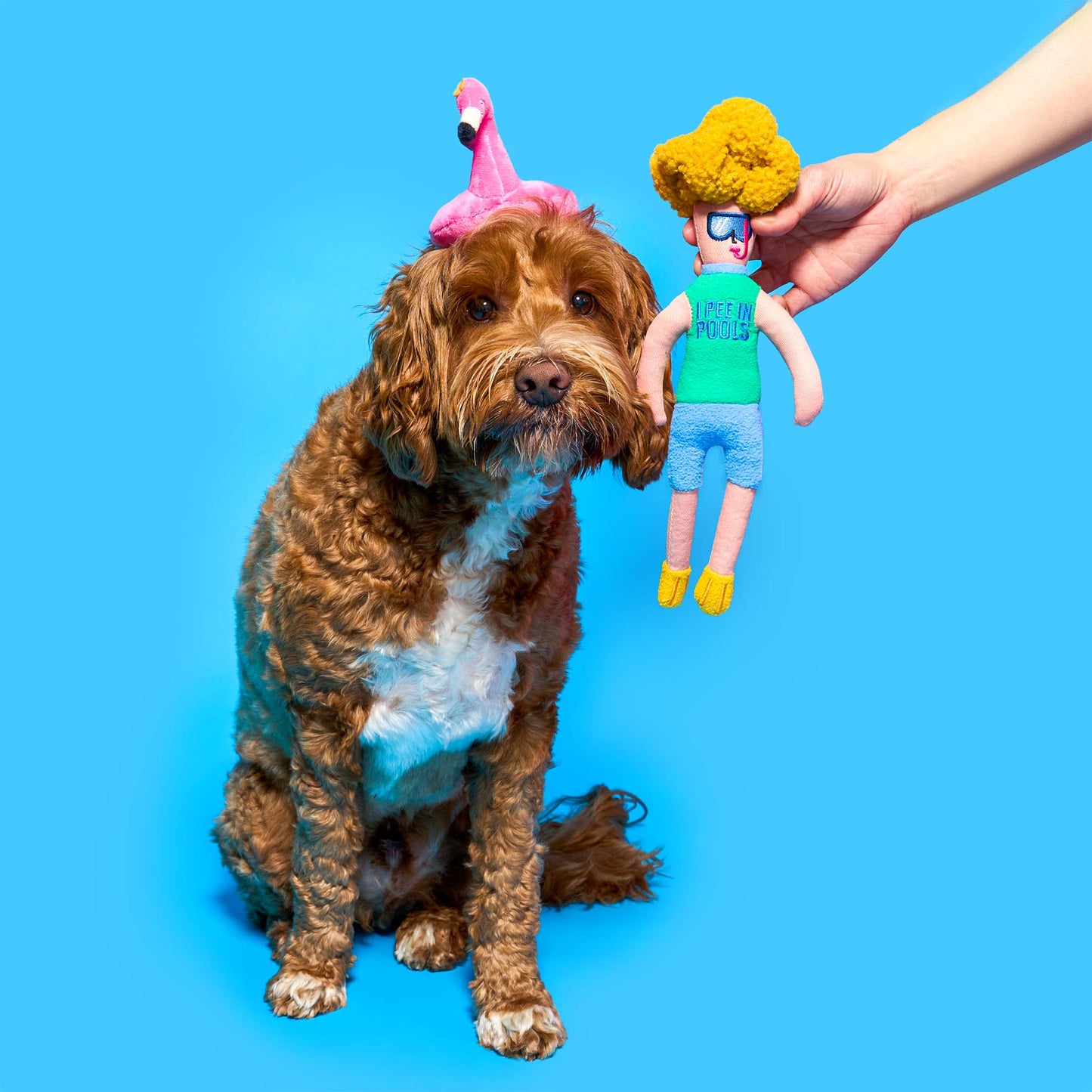 Flamingo Hooman Nosework Toy