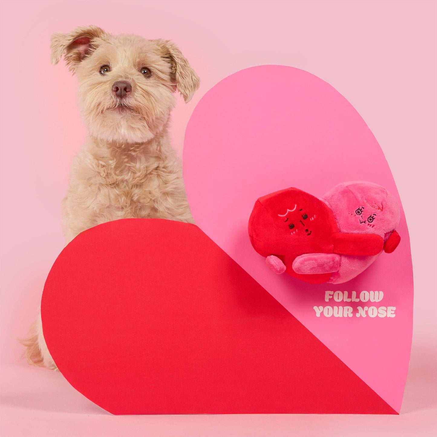 Love Locked Nosework Toy