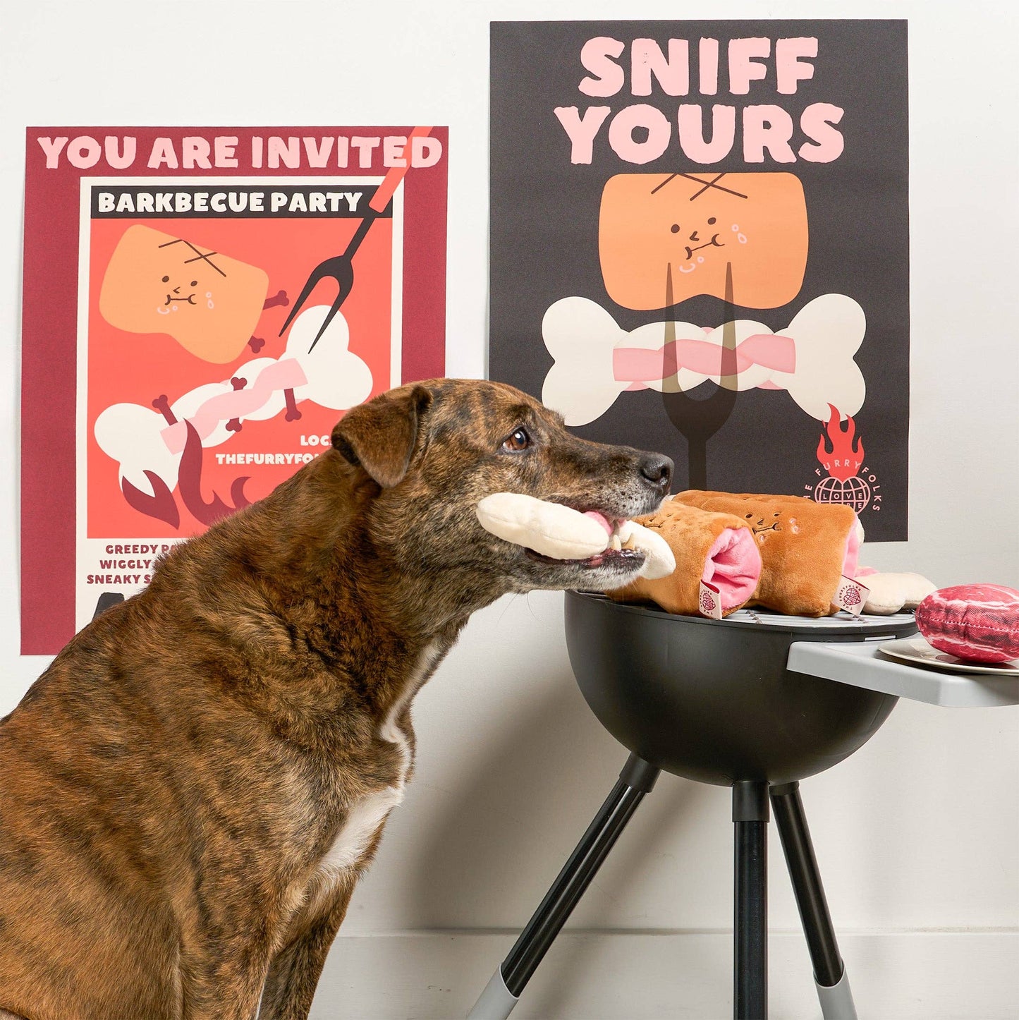 Bone Appétit Nosework Toy
