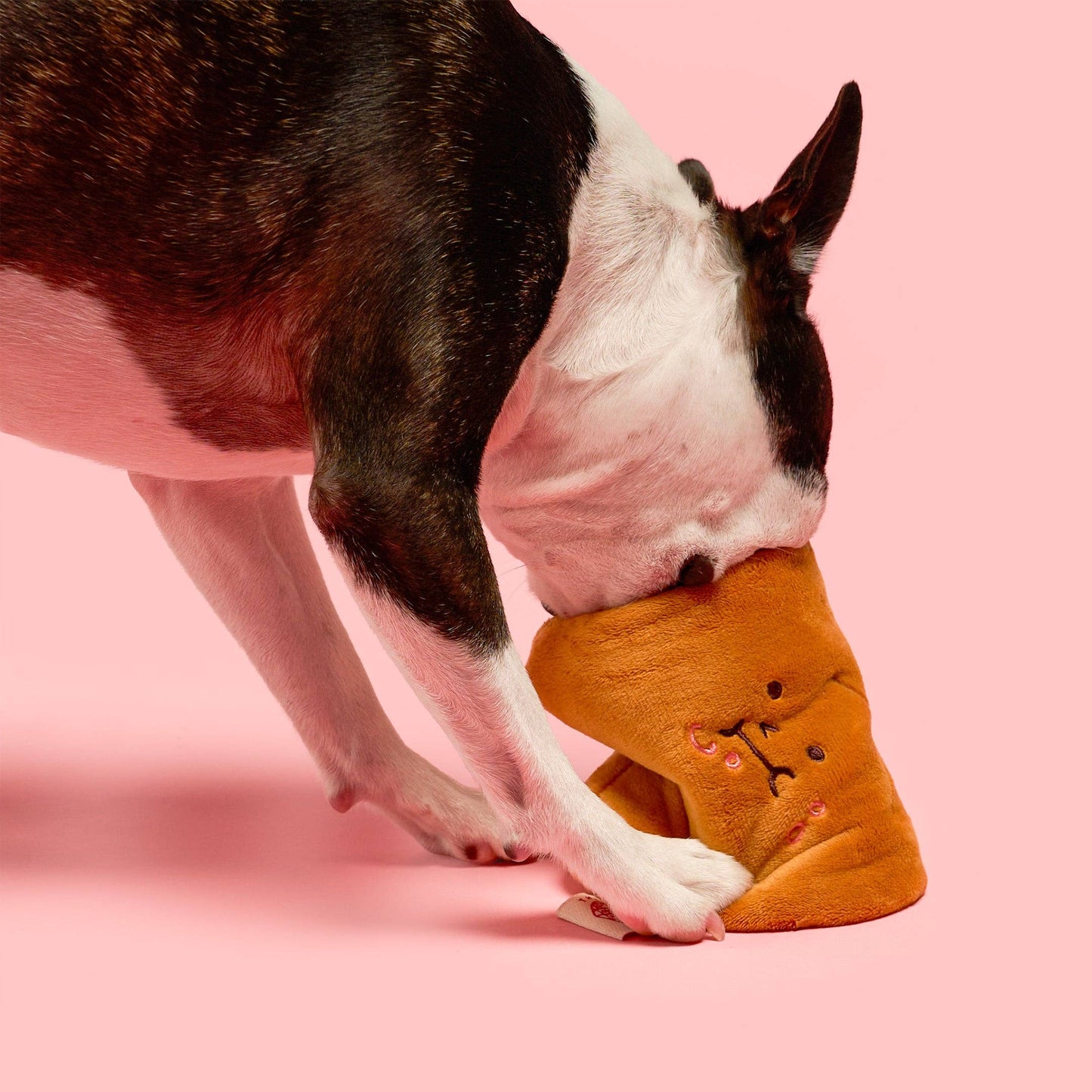 Bone Appétit Nosework Toy