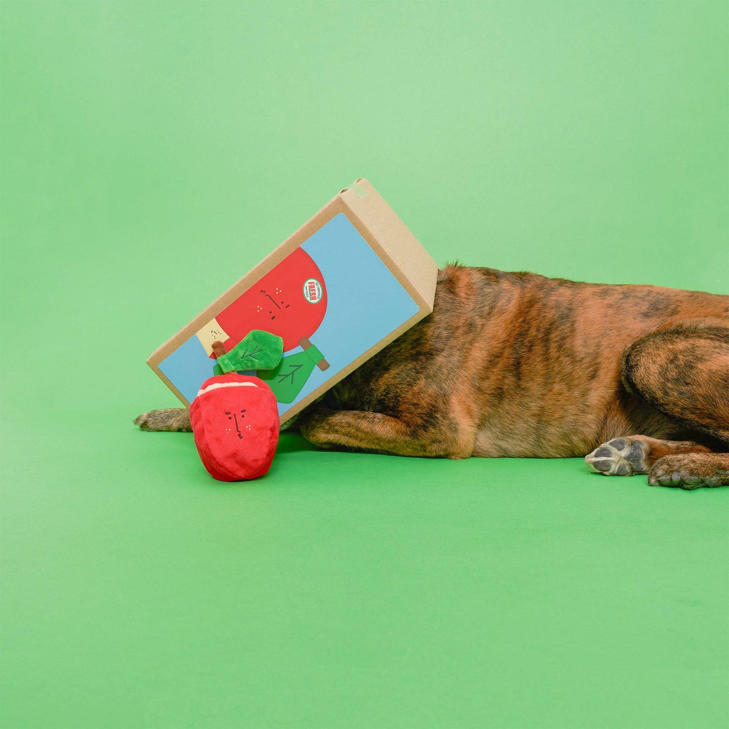 Apple Nosework Toy