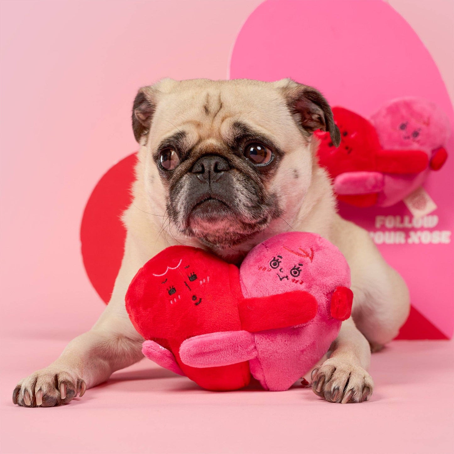Love Locked Nosework Toy