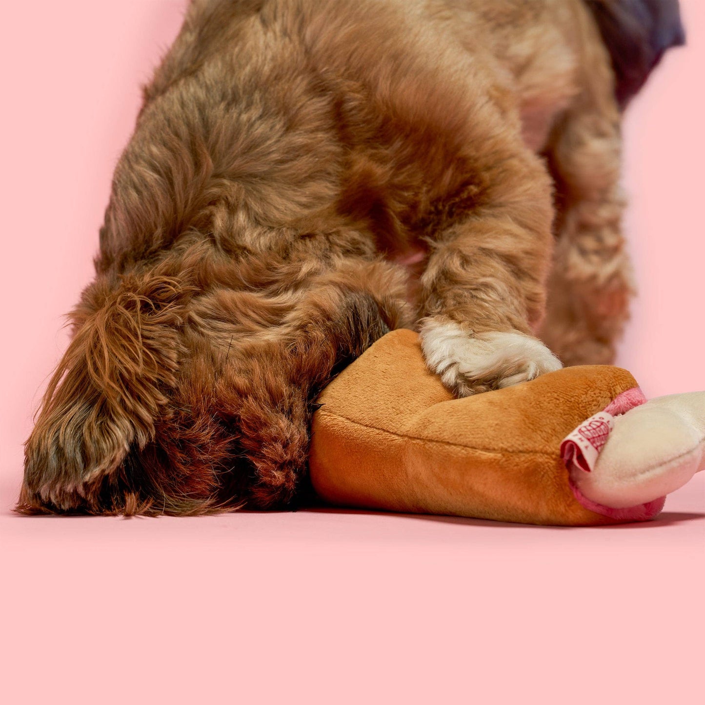 Bone Appétit Nosework Toy