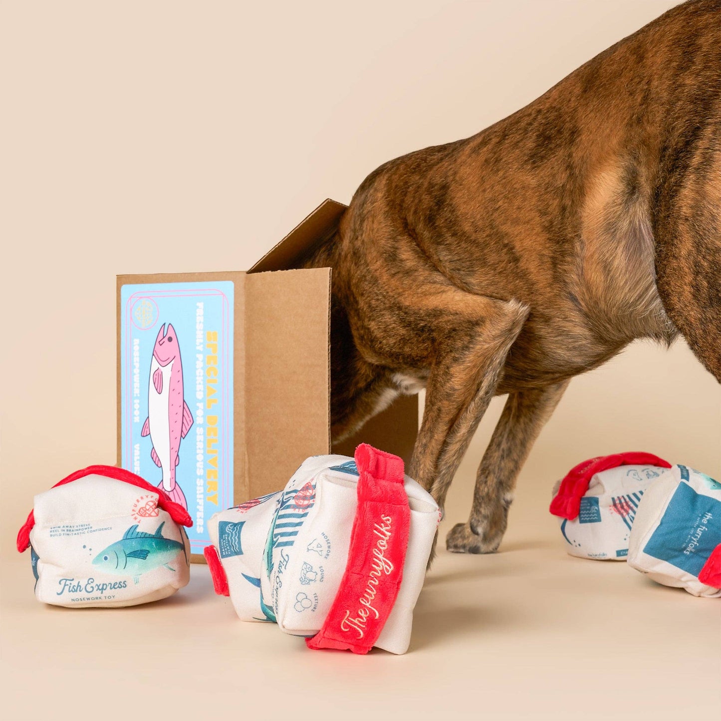 Fish Express Nosework Toy