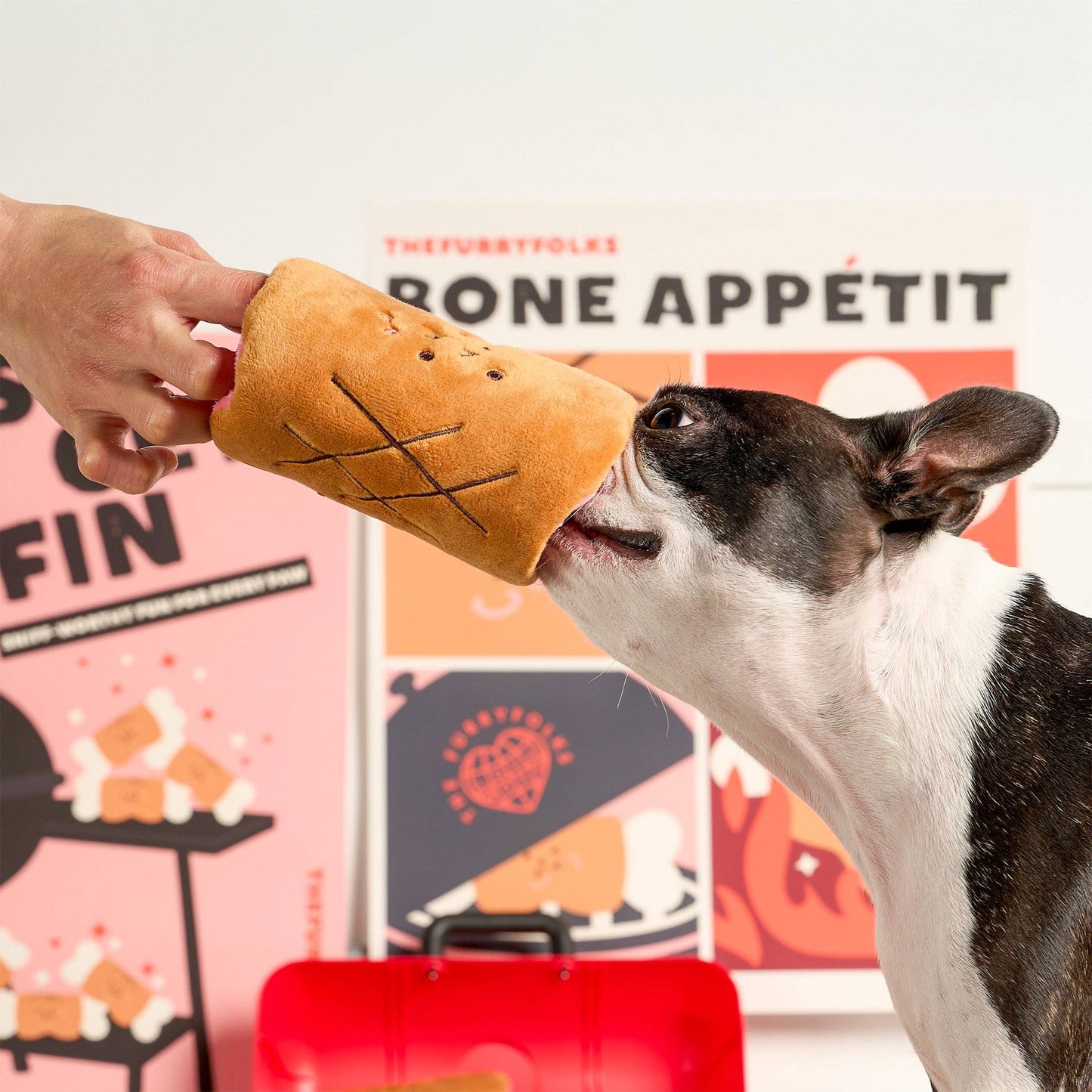 Bone Appétit Nosework Toy