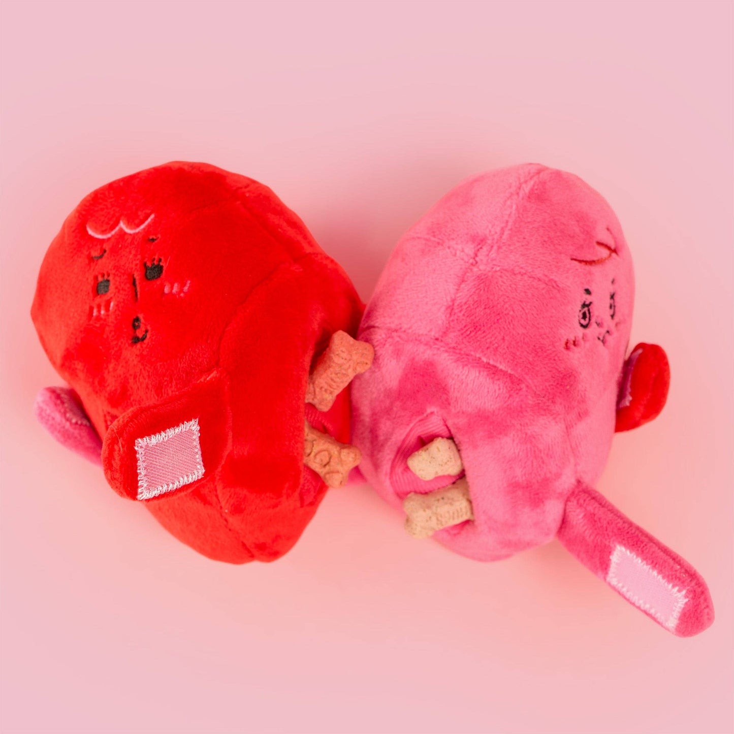 Love Locked Nosework Toy