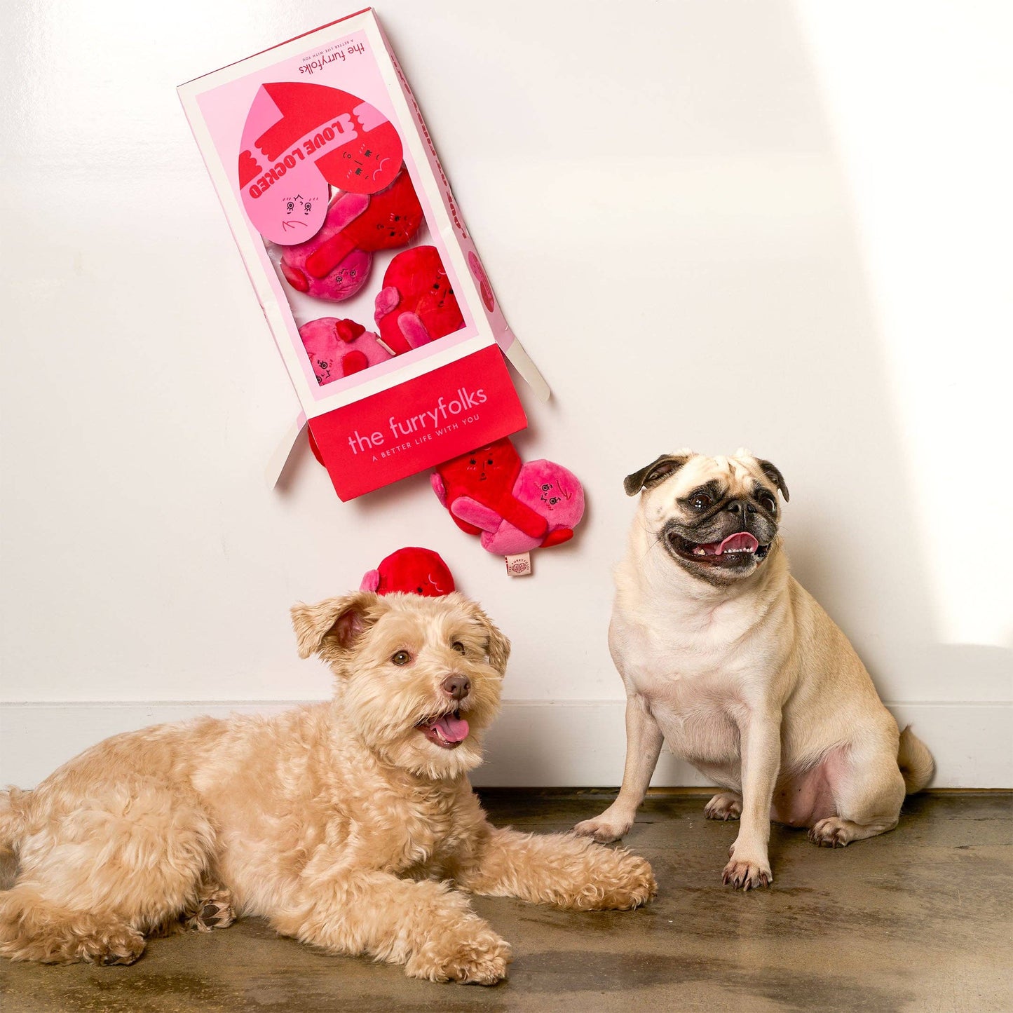 Love Locked Nosework Toy